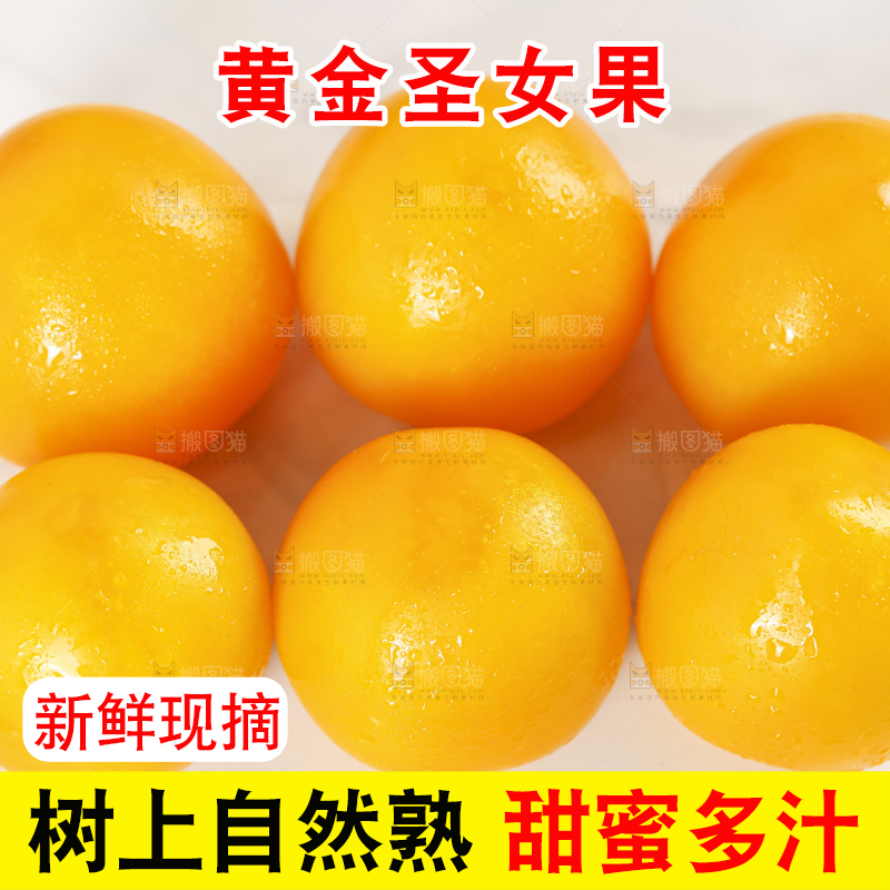 白底上摆放着黄金圣女果