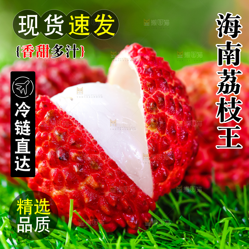 草地上摆放着荔枝王