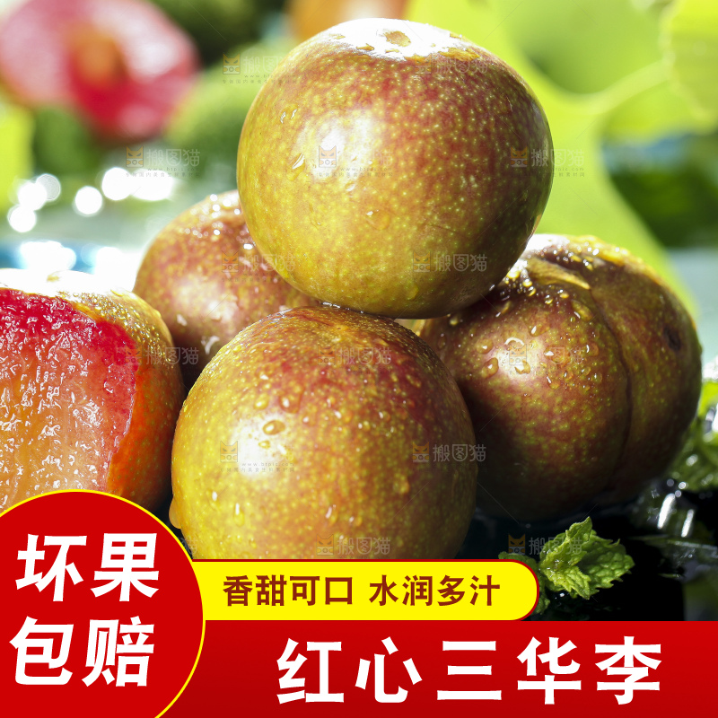 黑底上放着红心三华李