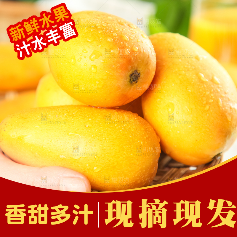 手里端着海南台农芒果