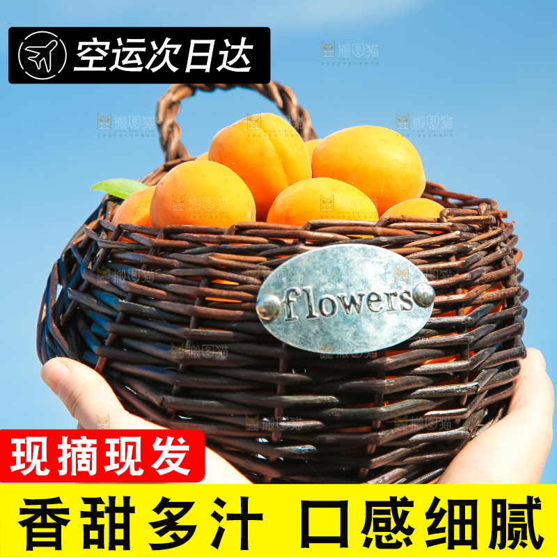 手里拿着一篮黄杏
