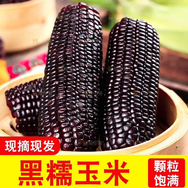 蒸笼里放着黑玉米