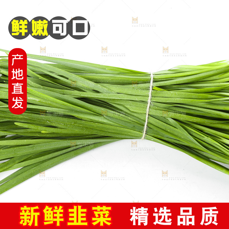 白底上放着一把嫩韭菜