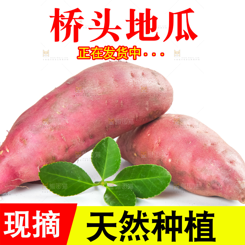 白底上放着海南桥头地瓜