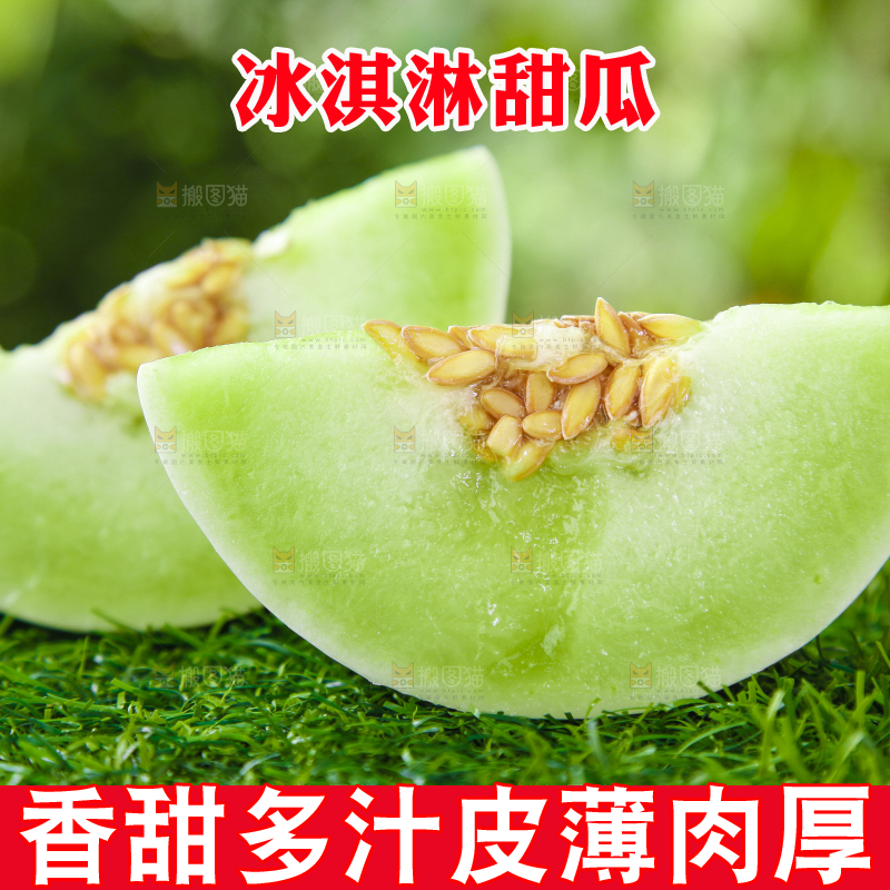 绿草地上摆放着玉菇甜瓜