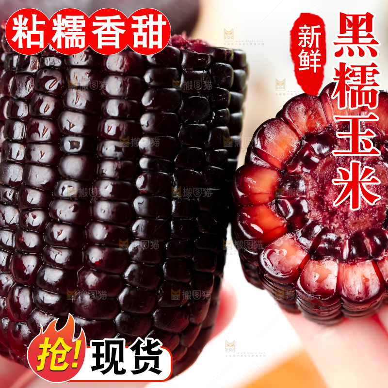 手里拿着黑珍珠玉米