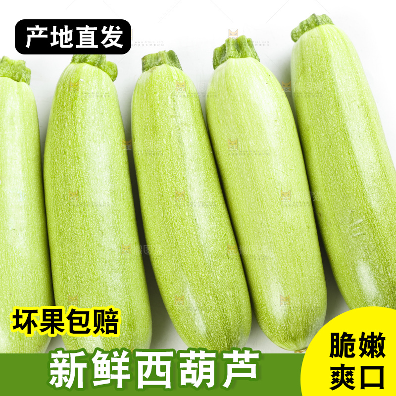 白底上摆放着西葫芦