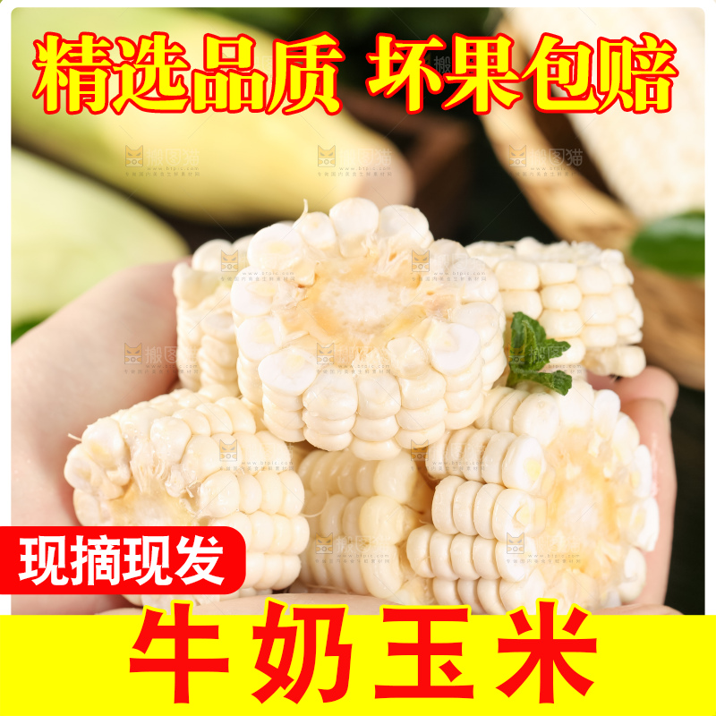 手里拿着甜玉米