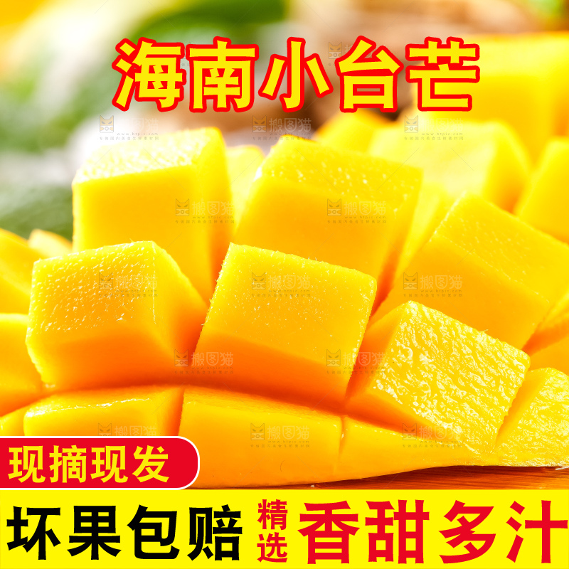 木底上摆放着海南台农芒果