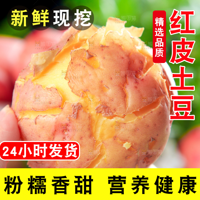 手里拿着红皮土豆