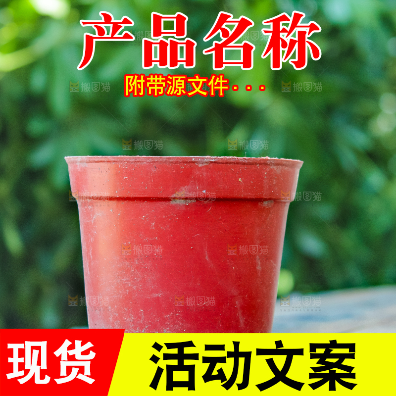 木底上放着一个花盆