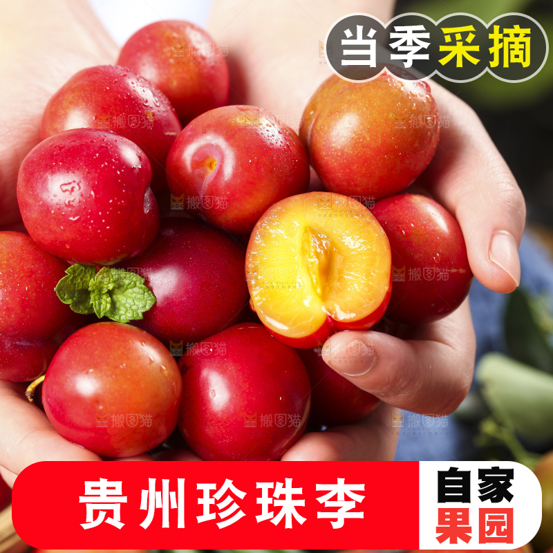 手里拿着脆李子