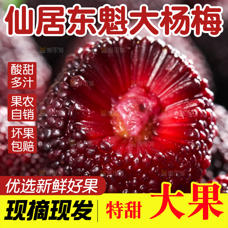 浅底上摆放着高山大杨梅