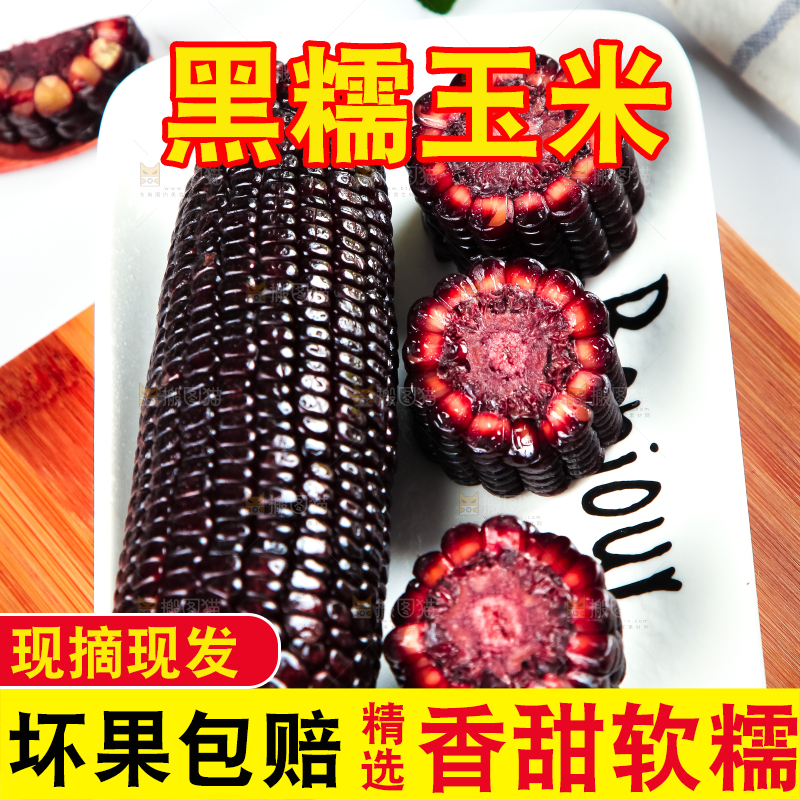 盘子里放着紫玉米