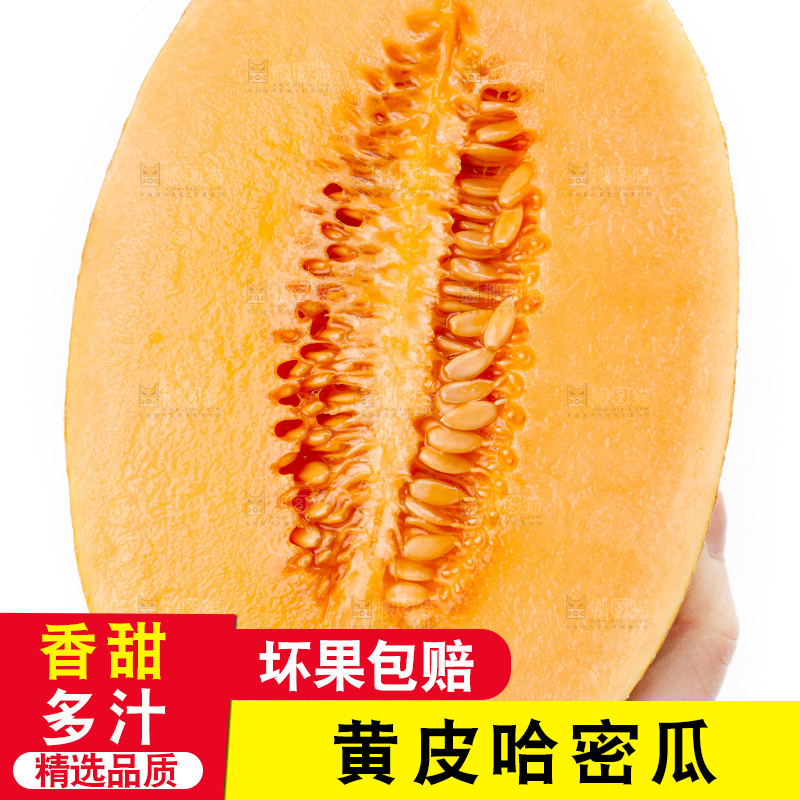 手里拿着新疆黄皮哈密瓜
