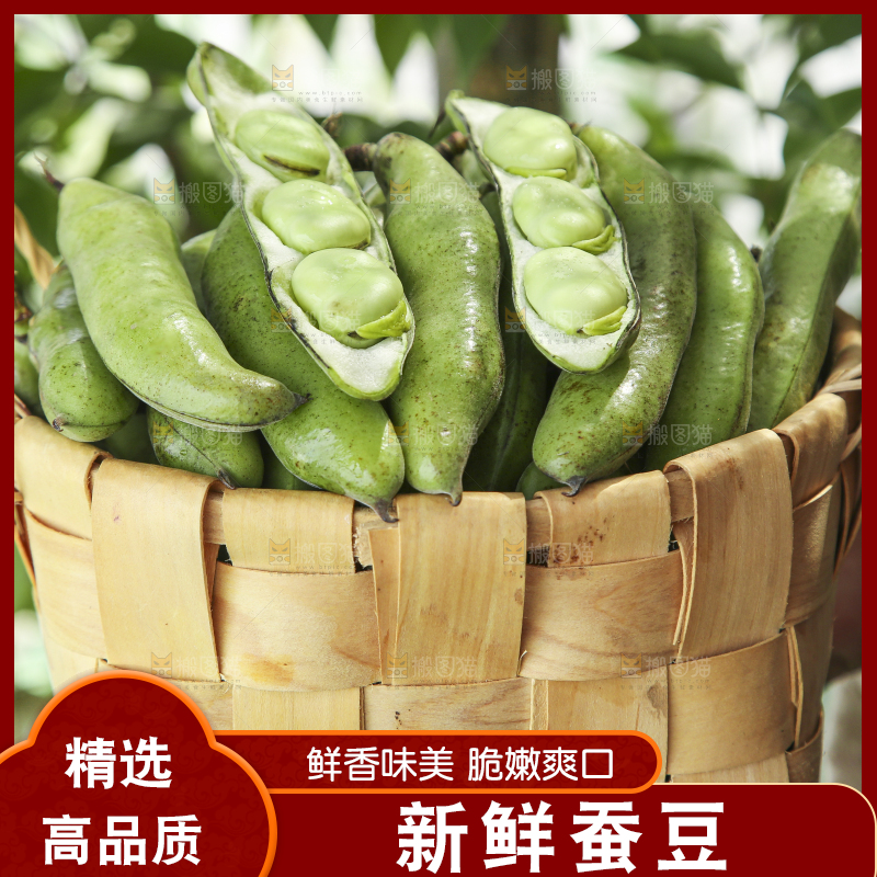 手里端着一篮生蚕豆