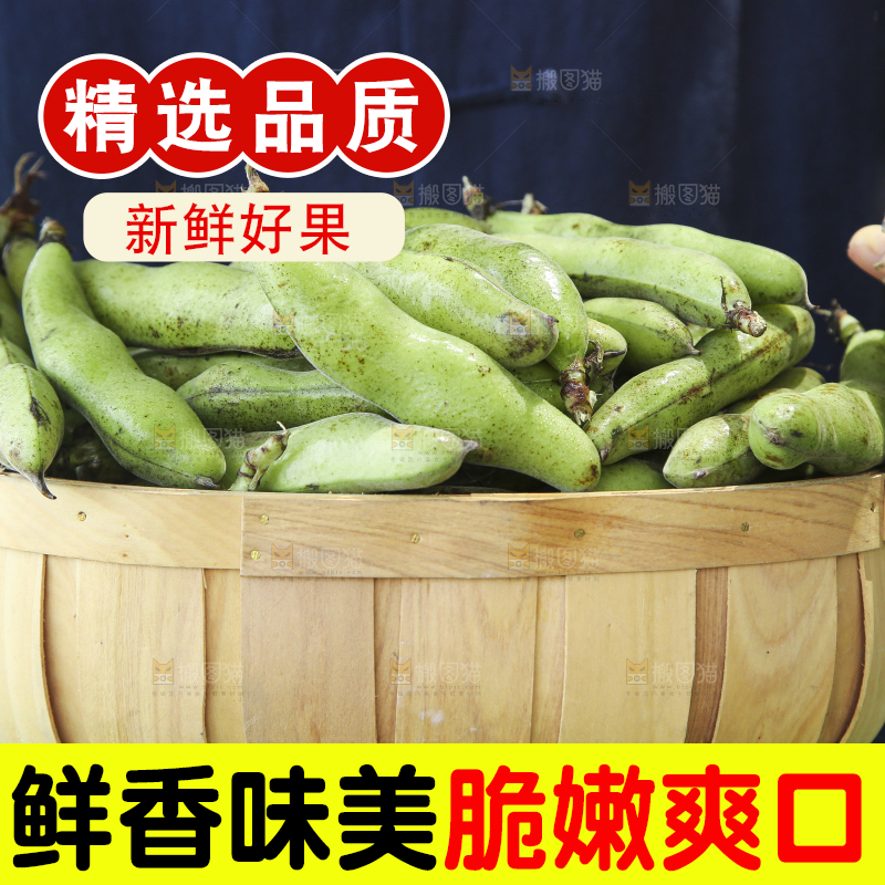 手里提着一篮子青胡豆