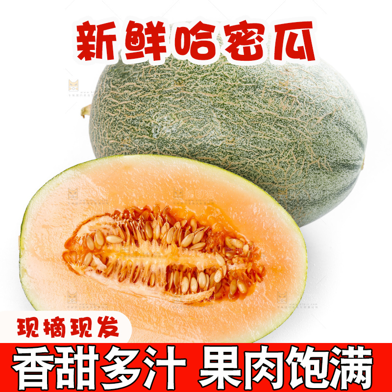哈密瓜主图