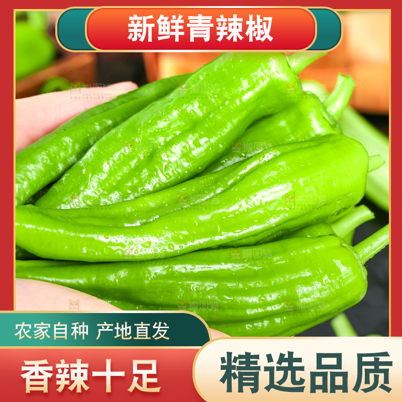 手里拿着青椒