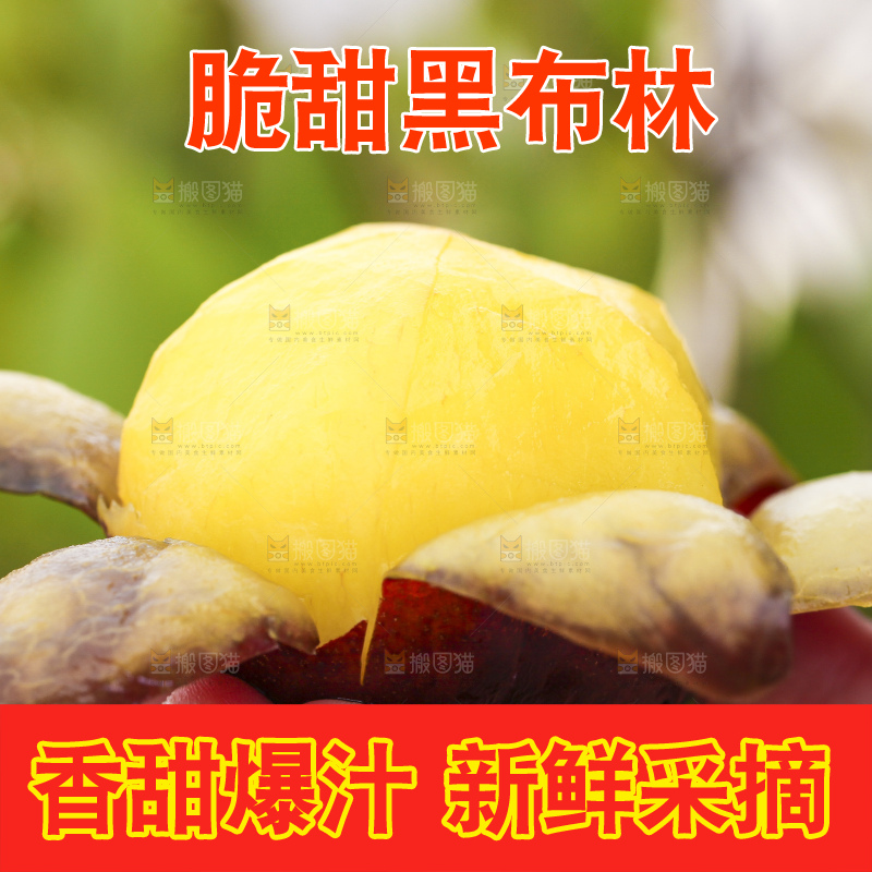 手里拿着黑布林