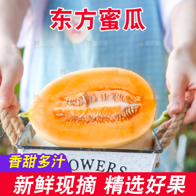手里提着蜜瓜