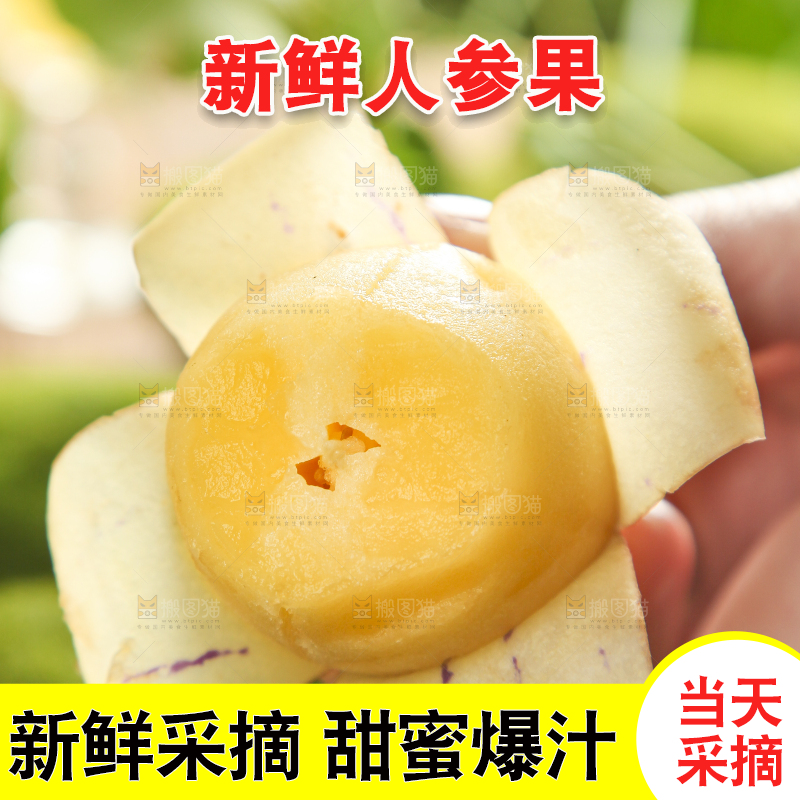 手里拿着人参圆果
