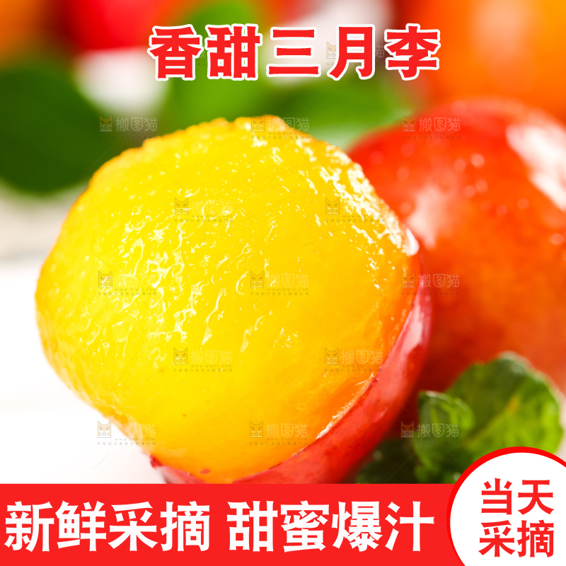 白底上摆放着土李子