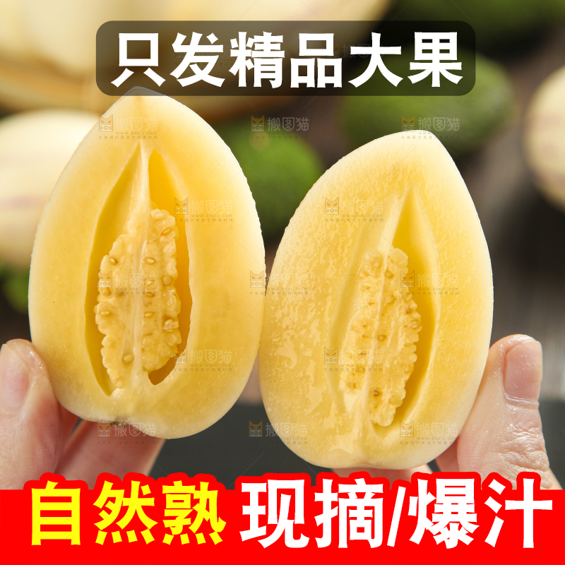 手里拿着人参圆果