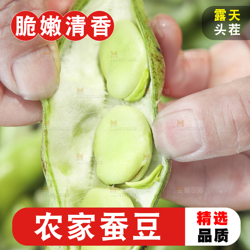 手里拿着生蚕豆