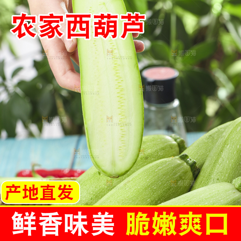 手里拿着嫩茭瓜