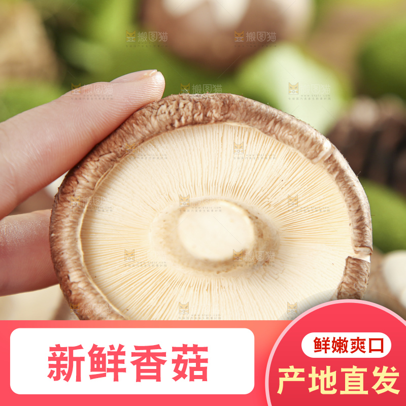 手里拿着香菇