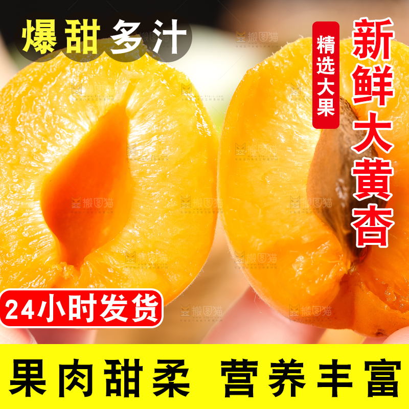 手里拿着陕西大黄杏