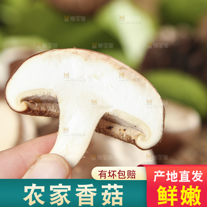 手里拿着香菇