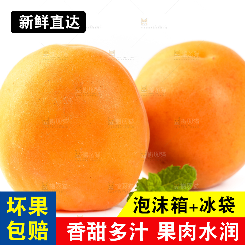 白底上放着陕西新鲜大黄杏