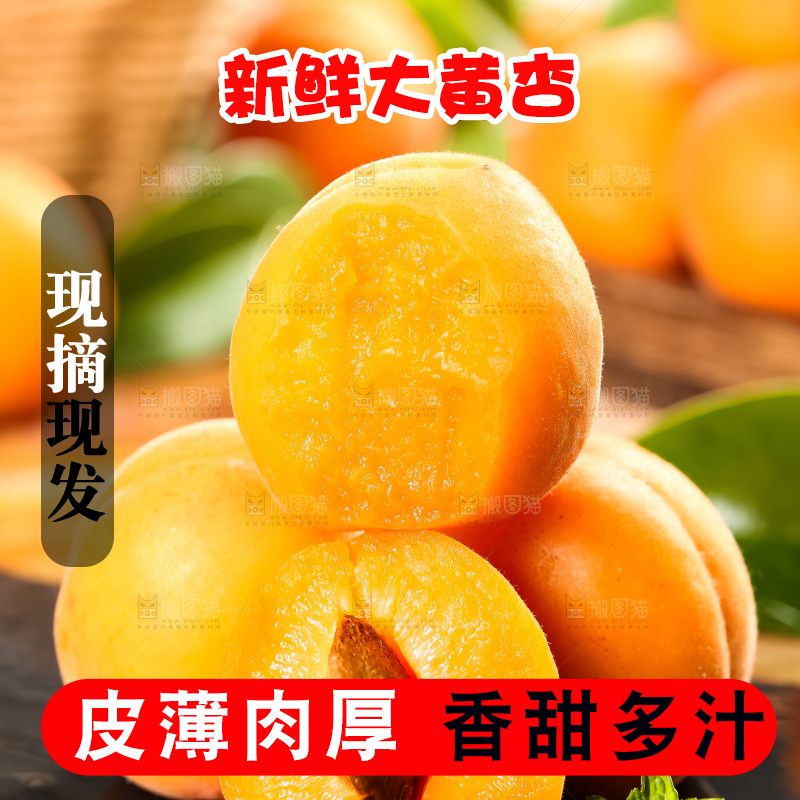 黑底上放着大黄杏
