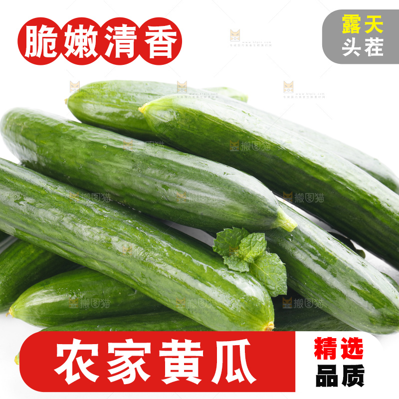 白底上摆放着嫩黄瓜
