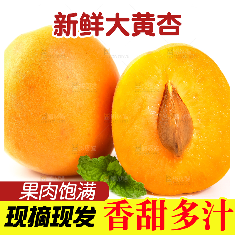 白底上放着陕西新鲜大黄杏