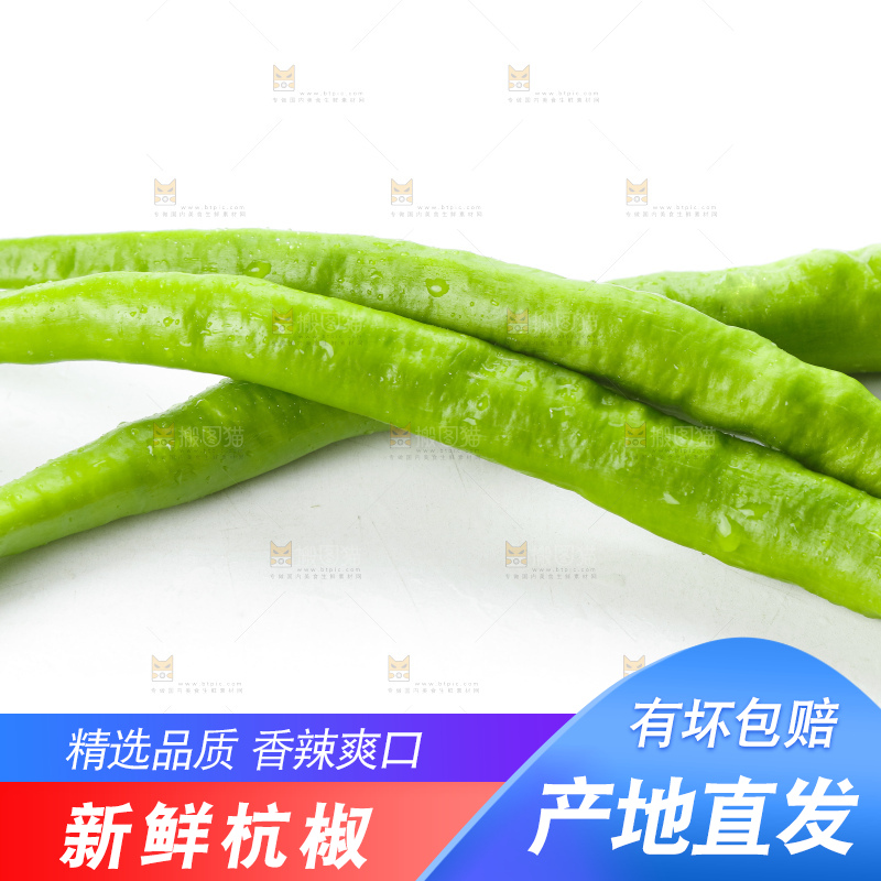 白底上摆放着青尖椒