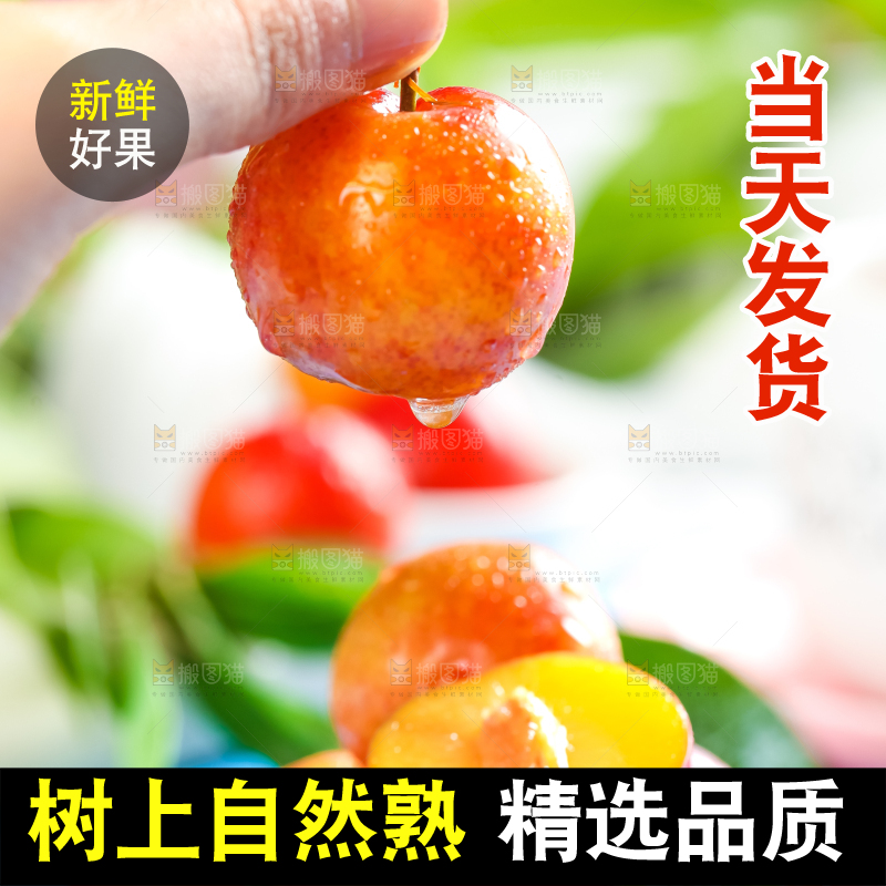 手里端着黄肉李子