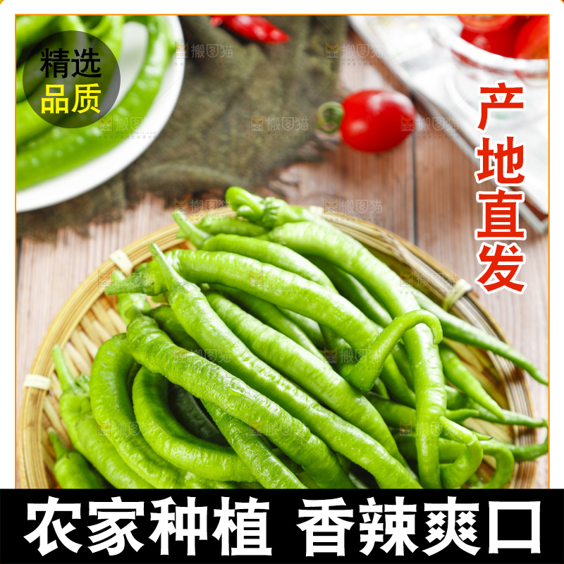 篮子里装着杭椒