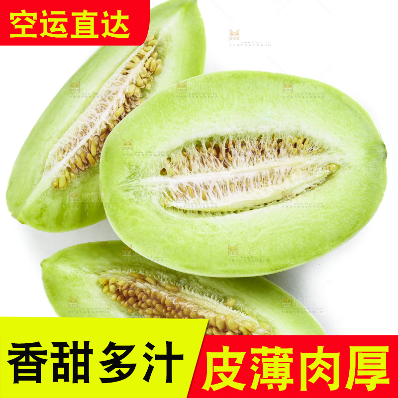 白底上摆放着山东玉菇甜瓜