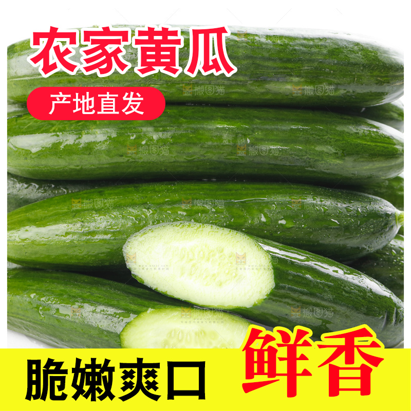 白底上摆放着嫩黄瓜