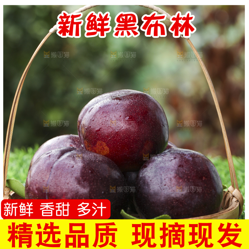 绿草地上放着一篮黑李子