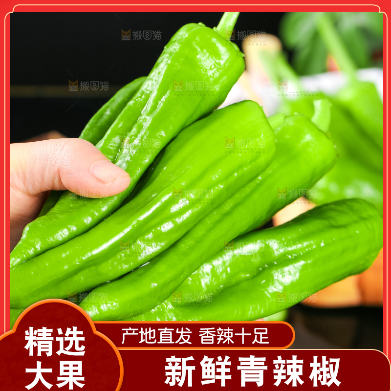 手里拿着青椒
