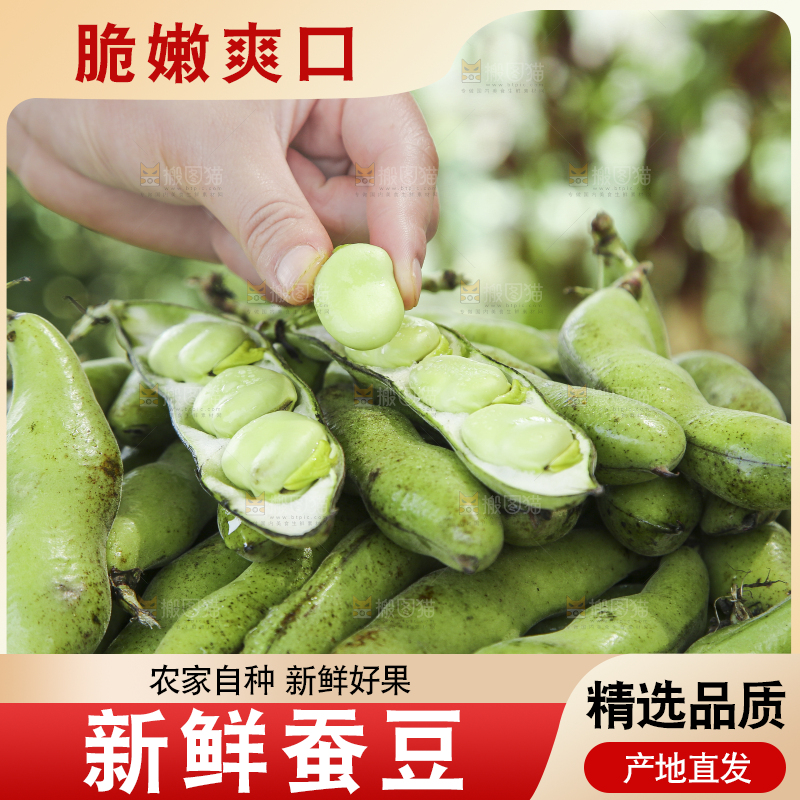 手里拿着新鲜蚕豆