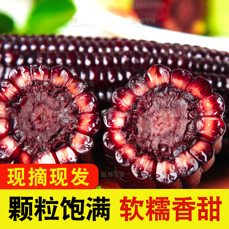 木底上放着东北黑玉米