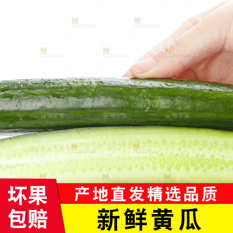 手里拿着嫩黄瓜