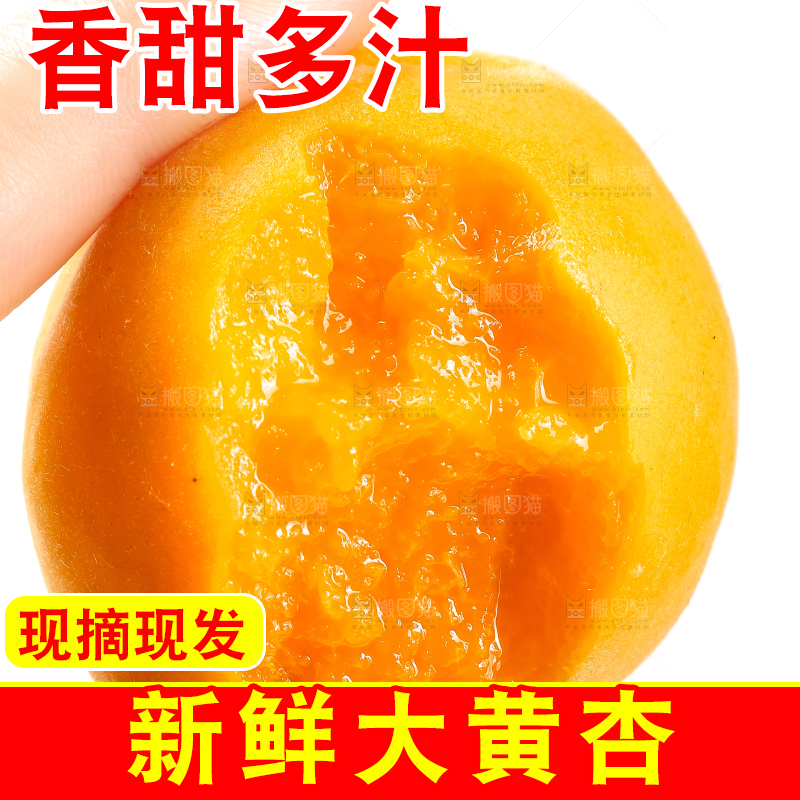 手里拿着大黄杏