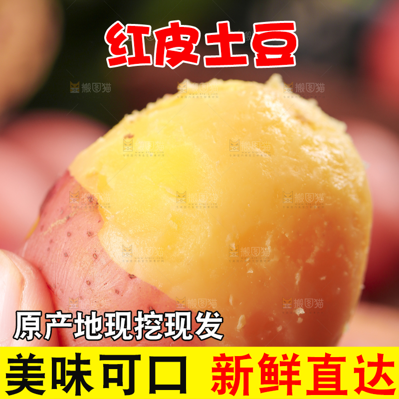 手里拿着土豆