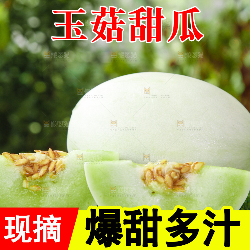 绿草地上摆放着玉菇甜瓜